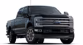 2025 Ford 2024 Super Duty® F-350® Platinum 6.8-litre V8 Regular Cab 4x2/4x4 - Image 7
