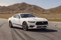 2025 Ford 2025 Mustang® EcoBoost® Fastback - Image 16